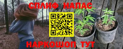 прущие грибы Кинель