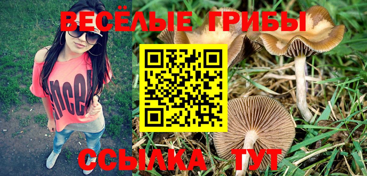 Псилоцибиновые грибы Cubensis  Вход с VPN  Кириши  Псилоцибиновые грибы MAGIC MUSHROOMS 